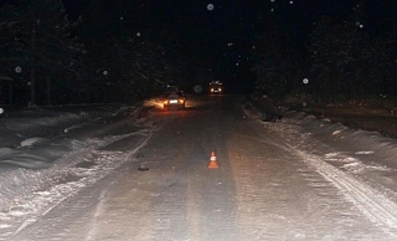 В Красноселькупском районе водитель наехал на лежащего на обочине человека