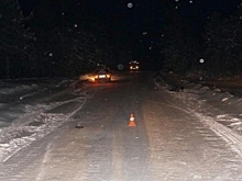 В Красноселькупском районе водитель наехал на лежащего на обочине человека