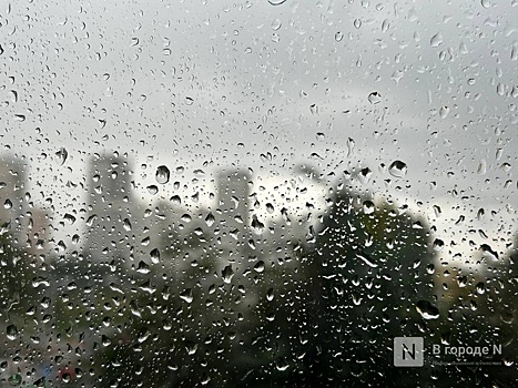 Дожди нагрянут в Нижний Новгород на следующей неделе
