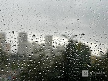 Дожди нагрянут в Нижний Новгород на следующей неделе