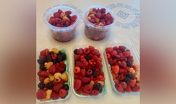 Председатель ЗСНО Евгений Люлин поделился фото последнего урожая ягод