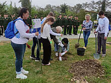 В Севастополе высадили 10-миллионное дерево в рамках акции "Сад памяти"