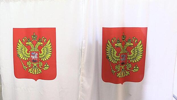 Выборы состоялись в Подмосковье. Как они прошли в Реутове и Дубне?