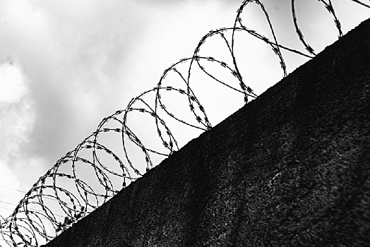 Амурчанка при трудоустройстве в полицию предоставила поддельные водительские права