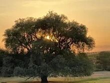 Для 100-летней «Бабушки Ивы» специалисты подготовят оздоровительную программу