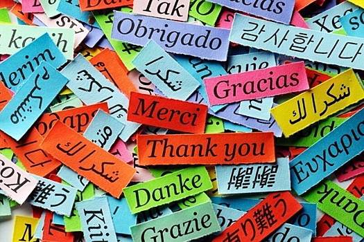 Есть ли человек, который владеет/владел большим количеством языков, чем Гарольд Вильямс?