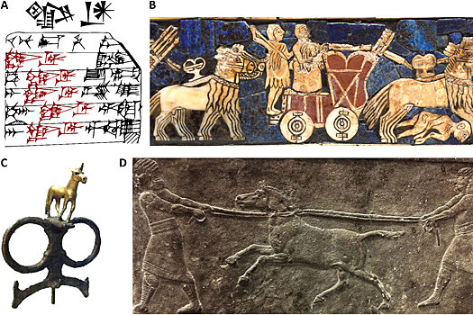 В Сирии обнаружены останки древнейших гибридных животных