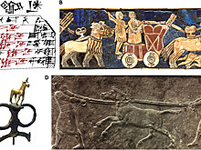 В Сирии обнаружены останки древнейших гибридных животных