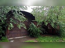 Житель Борзи обокрал участок, на котором раньше жил