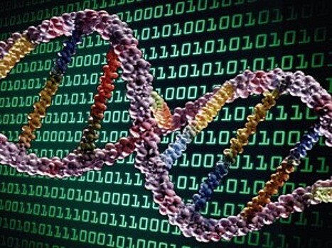 ДНК-машина поможет диагностировать рак