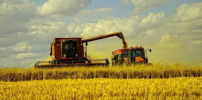 Минсельхоз: кредиты на сельхозработы к 18 октября выросли на 29,6% - до 338 млрд