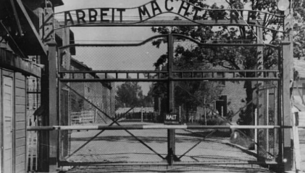 Капсула времени из Освенцима: «Мне не дает умереть лишь чувство мести, они должны за это ответить!»