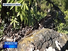 Съёмочная группа Башкирского спутникового телевидения побывала на челябинском Карандаше