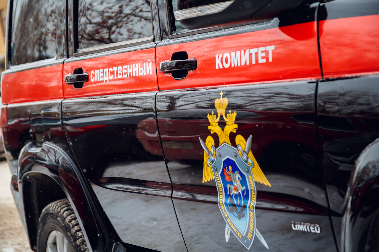 СК возбудил уголовное дело после гибели девочки под Новгородом из-за падения куска стекла