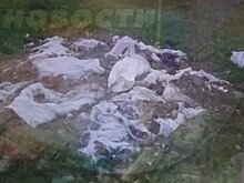 В Пензе из окна многоэтажки «пролился дождь» из мешков с мусором