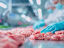 В Элисте запущено предприятие по глубокой переработке мяса и мясной продукции