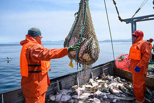В Норвегии опасаются, что Россия выловит больше рыбы в своей зоне из-за санкций