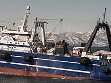 Заморожены активы известного на Дальнем Востоке рыбодобывающего холдинга