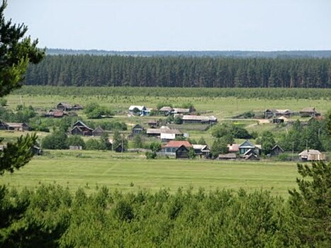 Две сызранские пенсионерки заблудились в лесу возле села Рамено