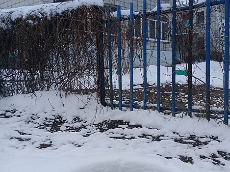В Волгограде люк рядом с детским садом затянул собаку