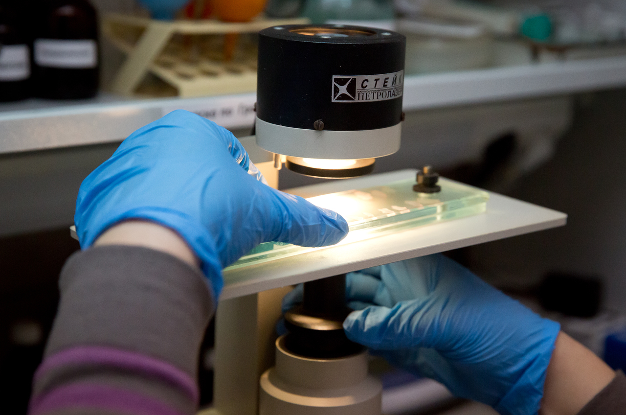 Исследователи нашли в Сибири самый древний образец РНК мамонта