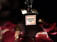 Roberto Cavalli выпустил ароматы-унисекс