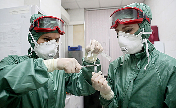 В России за сутки выявили 33 548 новых случаев коронавируса