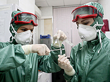 В России за сутки выявили 33 548 новых случаев коронавируса