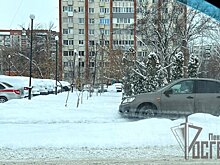 Росгвардейцы помогли пензячке выбраться из сугроба