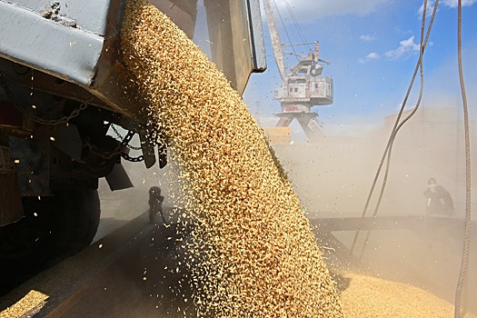 Евросоюз ввел новые пошлины на сельхозпродукцию из России и Беларуси