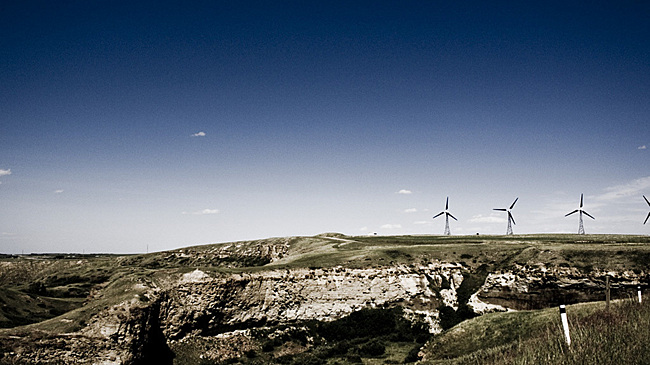 Стремление сепаратистов присоединить их регион к США назвали «новой опасностью»