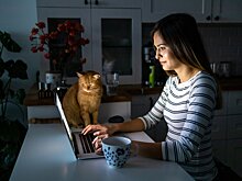 Россияне готовы сменить профессию, чтобы остаться на удаленке