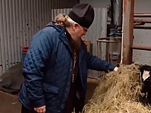 Фермеры Мордовии представят органические продукты на фестивале «Вкусы России»