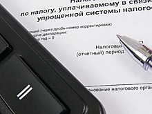 Партия ЛДПР подготовила законопроект об изменении условий УСН