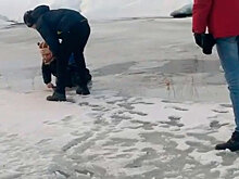 В Томске подростки спасли мальчика на льду