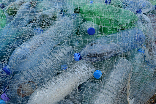 Депутат Власов предложил установить приемники пластиковой тары в магазинах России