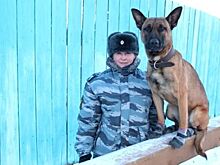 Клонированные овчарки Том и Джек будут служить в якутской колонии