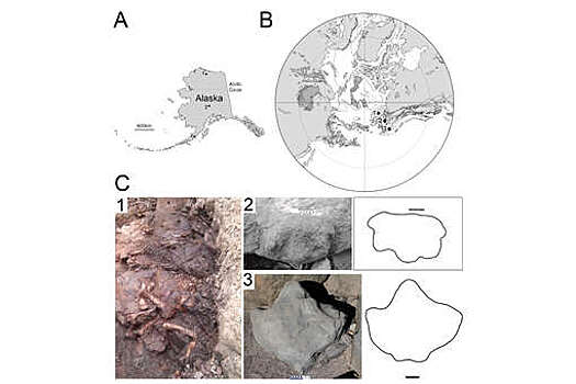 Палеонтологи: обильные дожди на Аляске привели к упадку любящих сухость динозавров