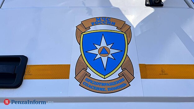 В Тамалинском районе случился смертельный пожар