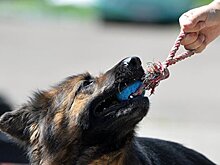 Угроза взрыва в ТЦ "Хорошо!" не подтвердилась