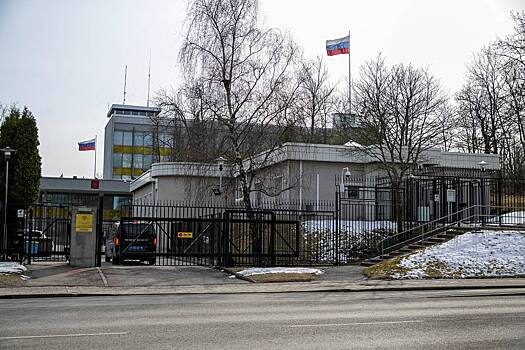 Посольство России прокомментировало совет эксперта из Швеции для Украины