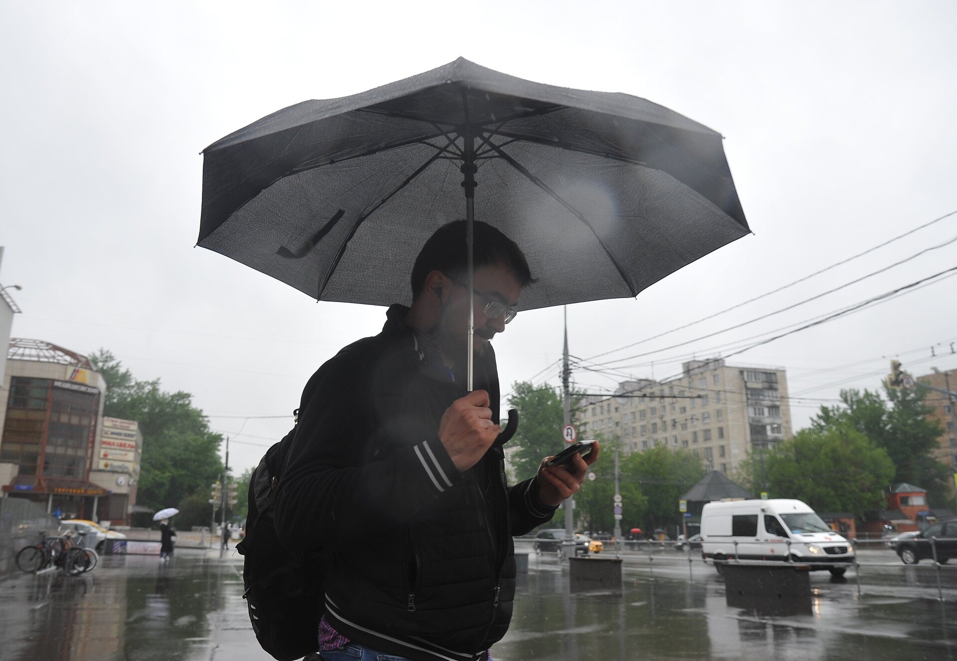 Дождливый день