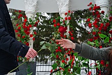 К старту шоу «Холостяк» расцвела ротонда в челябинском парке Пушкина