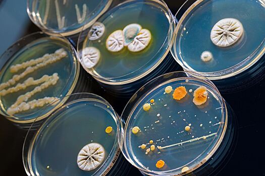 Ученые синтезировали антибиотик против 300 видов супербактерий