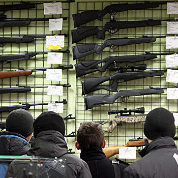 Мирошниченко: Легализация оружия сделает всех украинцев военнообязанными
