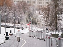 Москва обновила снежный максимум зимы