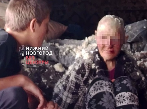 Бастрыкину доложат о зверских издевательствах над женщиной в Городецком округе