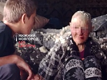 Бастрыкину доложат о зверских издевательствах над женщиной в Городецком округе