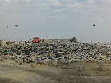 Вопрос назрел. Куда девают мусор жители тамбовский сел