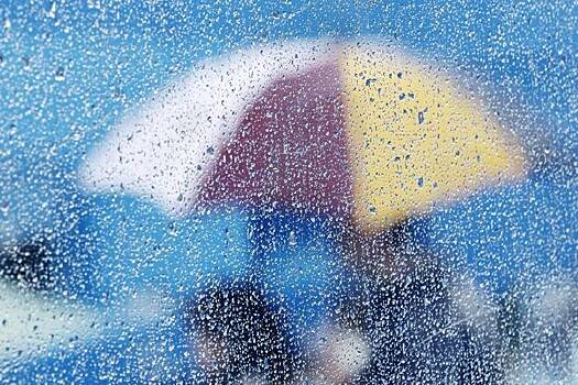 Дожди будут лить всю рабочую неделю в Приморье